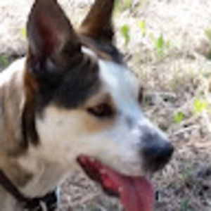 Meet your Posher, Trudy